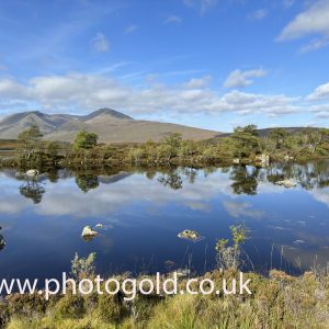 black mount canvas print 4365, original image