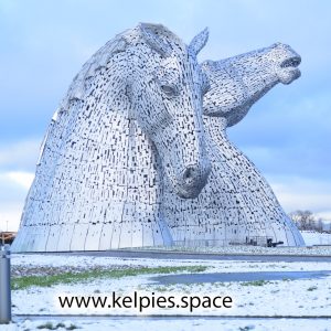kelpies in the snow at Christmas