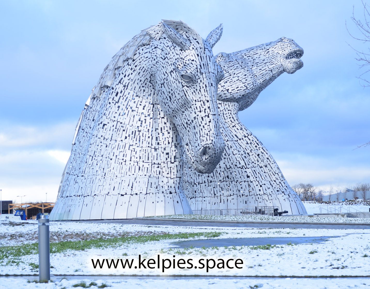kelpies in the snow at Christmas